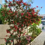 Ntina Kouliaki * Chaniotis